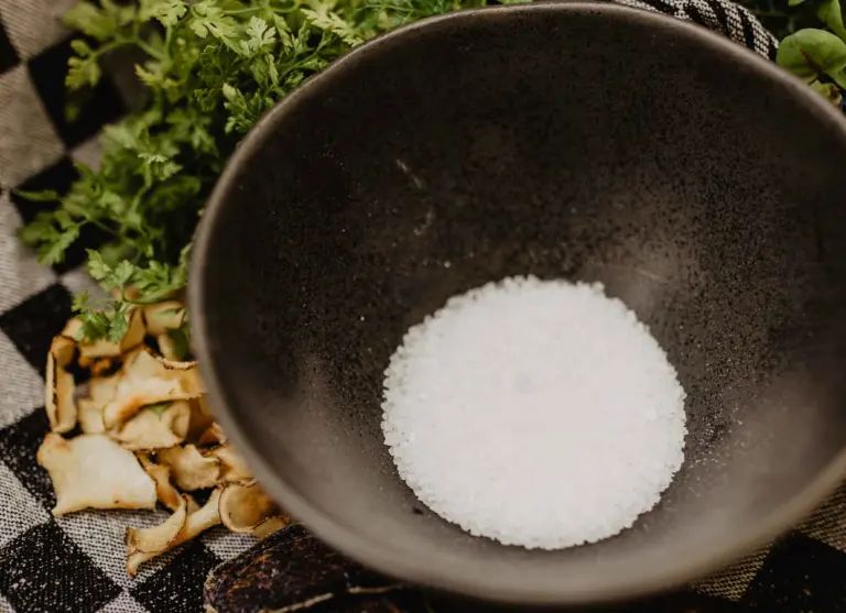 Camping de kleine wolf faciliteit horeca bereiding eten details