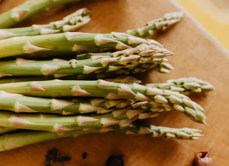 Camping de kleine wolf horeca italiaan asperges